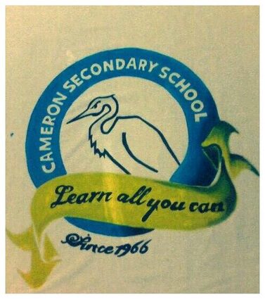 cameron secondary school logo