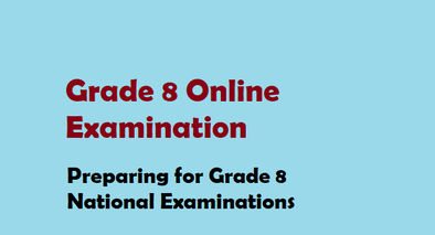 Grade 8 Online Examination 